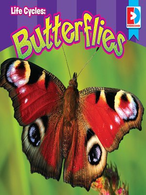 cover image of Life Cycles: Butterflies
